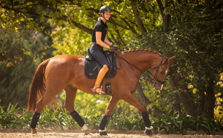 Mental Preparation for Racehorses