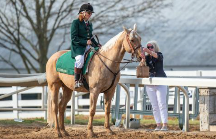 Memory Lane: Vintage Horse Racing Ads